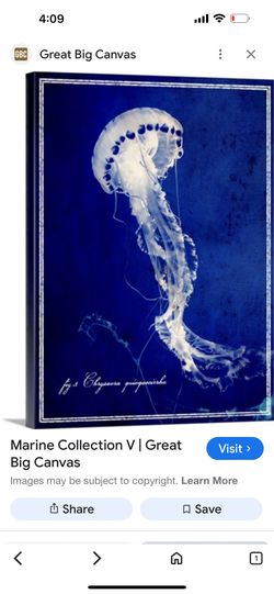 2 beautiful ocean pictures of ocean life significantly lower in price