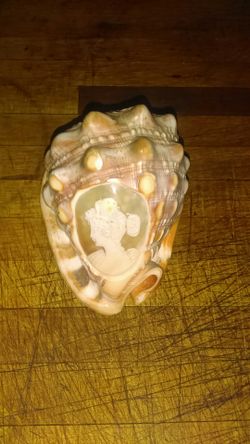 Antique 1800's hand carved Victoria conch shell .
