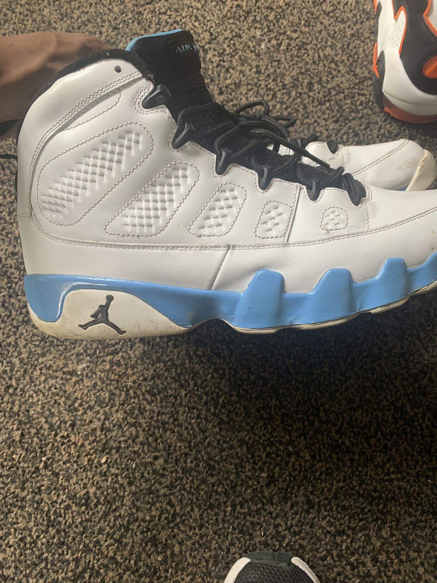 Jordan Powder Blue 9s