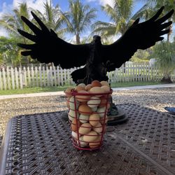 Organic Free Range Eggs