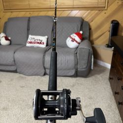 Penn Power Stick/ Penn 225 Lever Drag Saltwater Fishing Combo