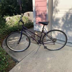Women’s Trek Bike 