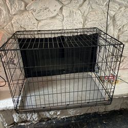Dog Kennel