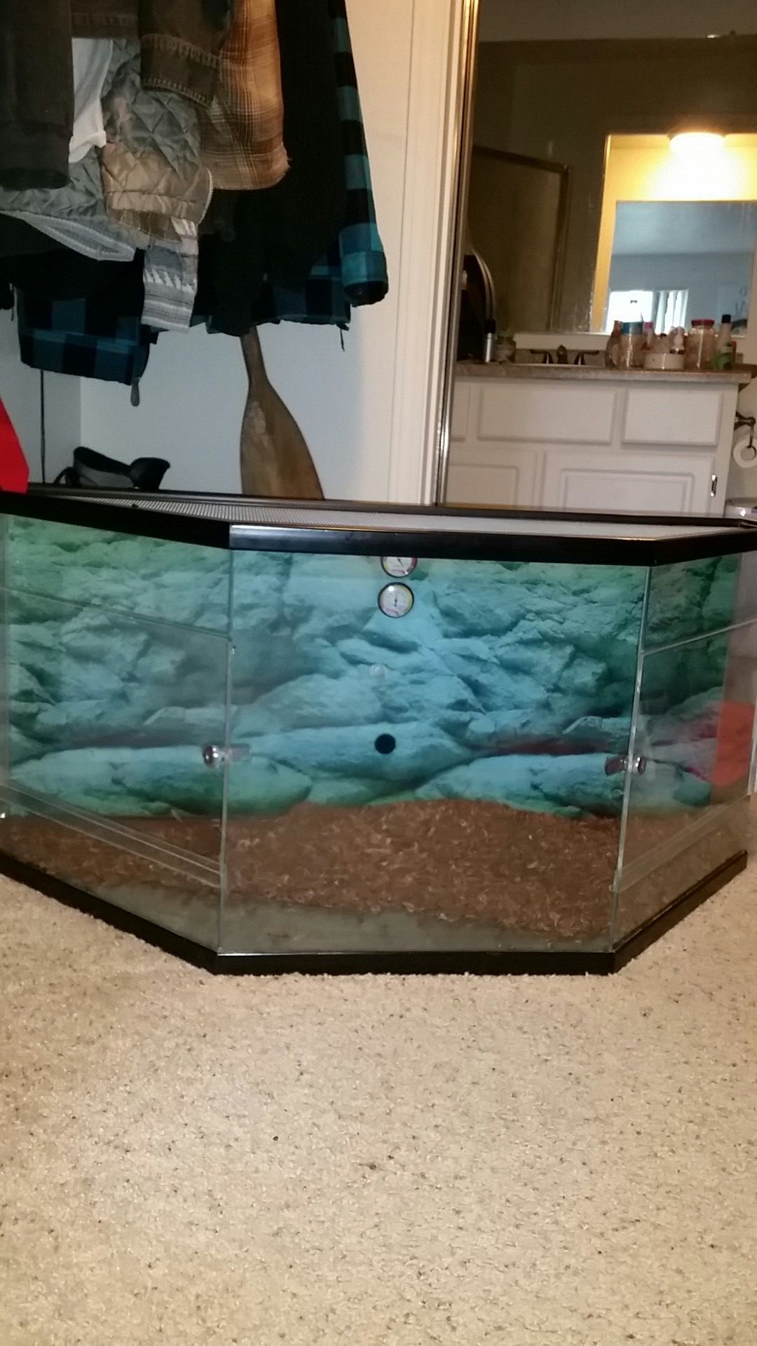 60gallon Terrarium w/locks from Petco