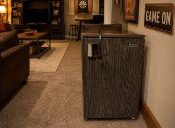 Avanti vintage minifridge