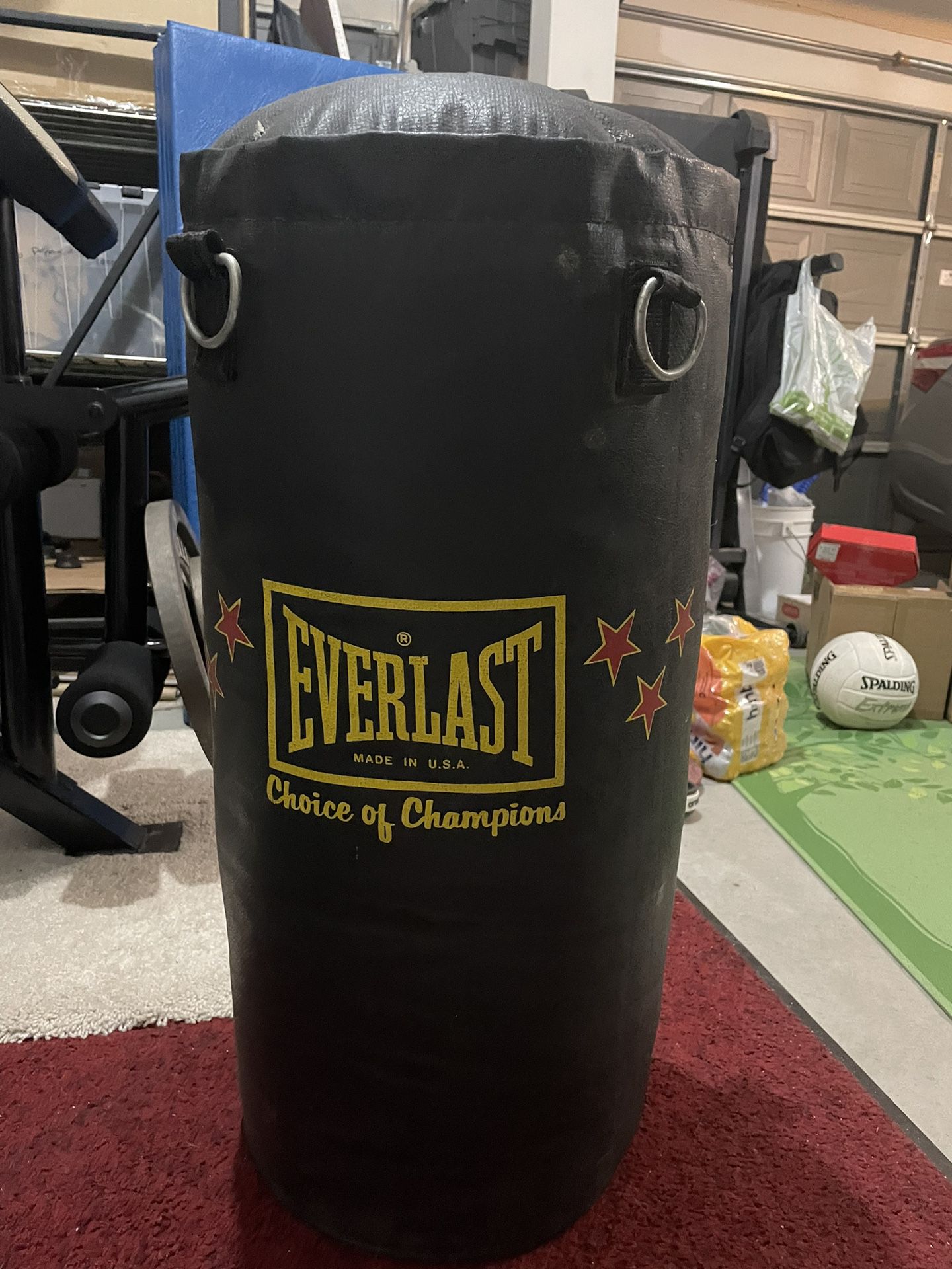 Everlast Punching Bag