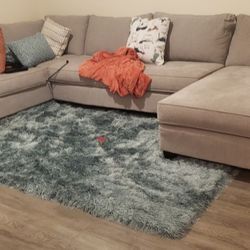 Sectional & Rug