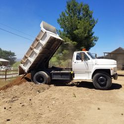 Grass Dirt Concrete Asphalt Dump Truck 