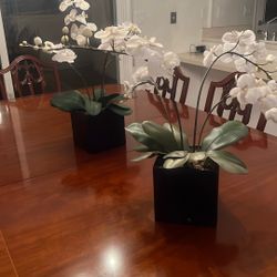 Two Faux Potted Orchid Plants