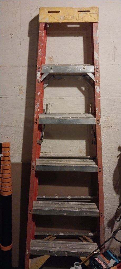 6' foot Ladder