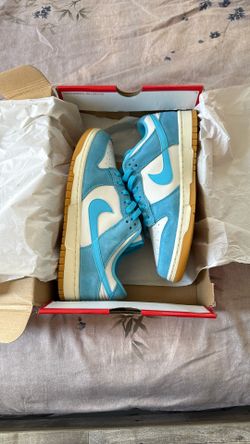 Nike Dunks 9.5 Men’s