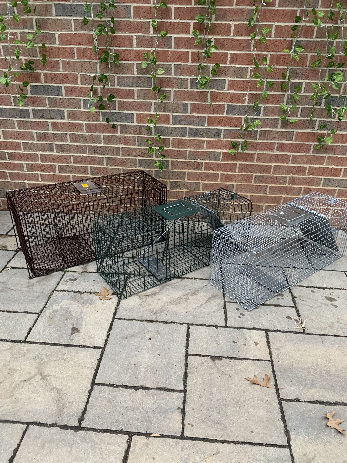 Animal Trap / Animal Cage
