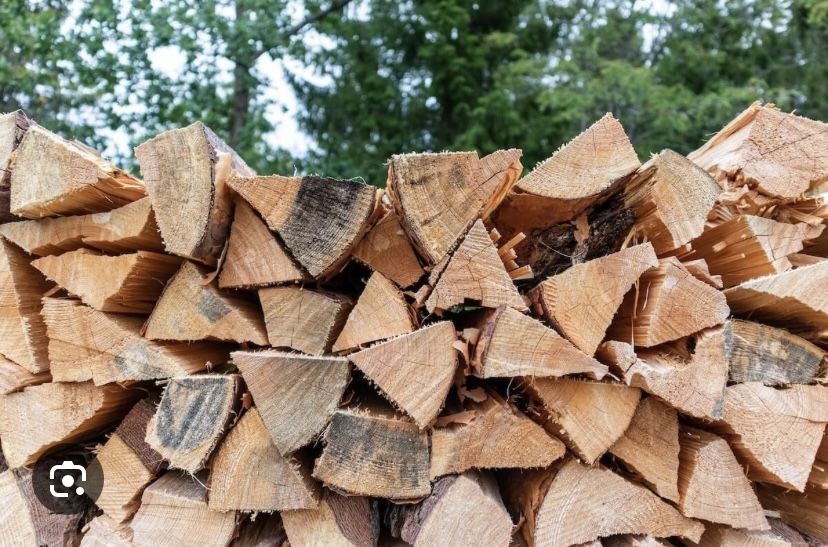 Selling Firewood
