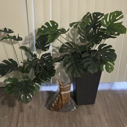 Faux Plants 