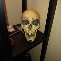 Glow In the dark Skull Head