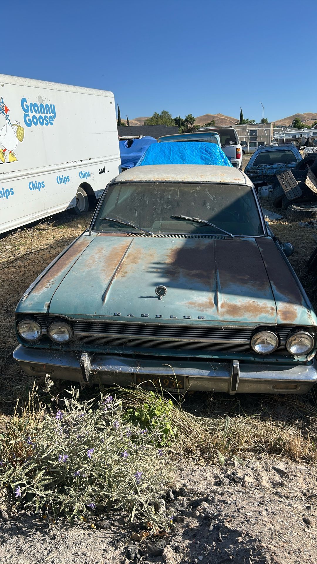 1965 rambler Marlin