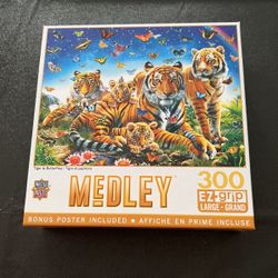 Masterpiece Medley 300 Piece Puzzle