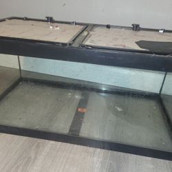 Reptile Tank