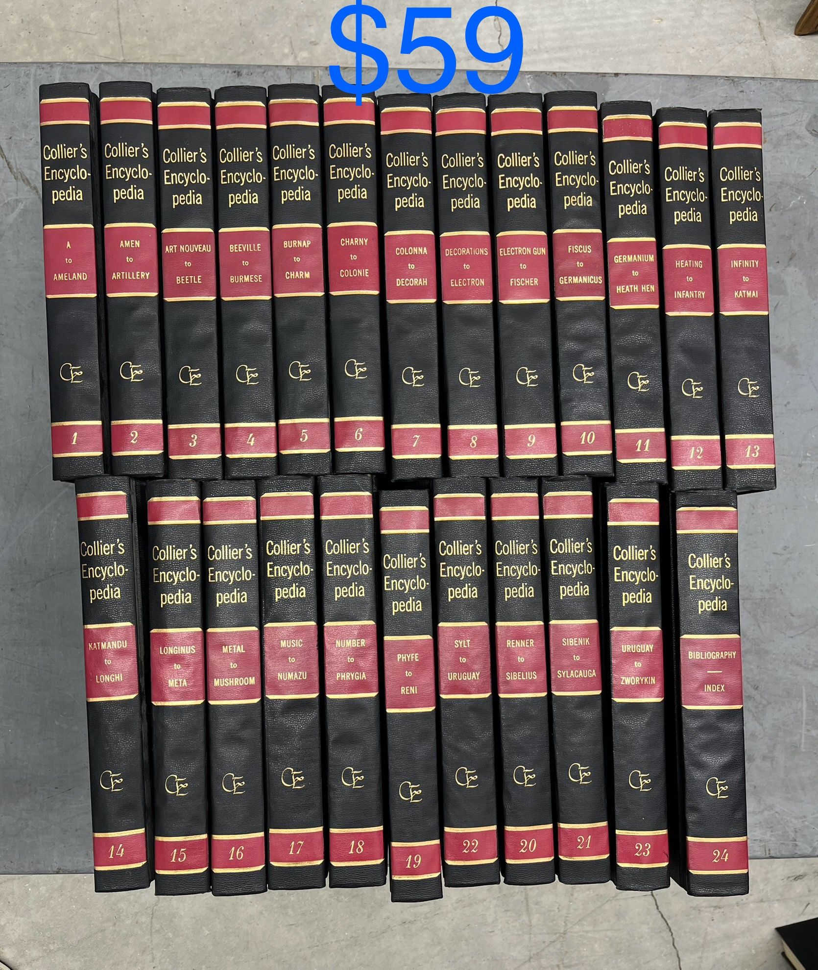 Lot Of 1962 Vintage Complete Set Of 24 encyclopedia