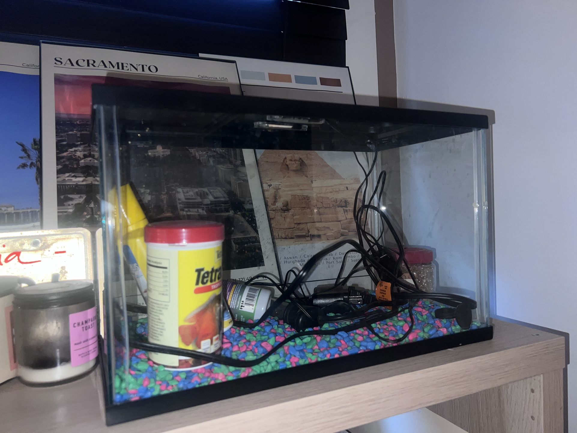 Fish Tank