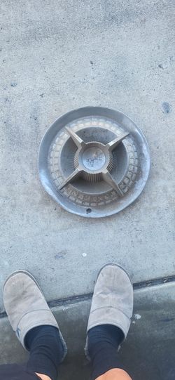 One 14 Inch Spider HUBCAP