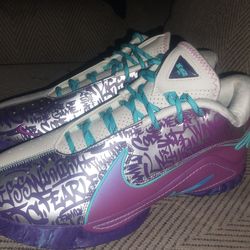 Nikes shoes LeBron James