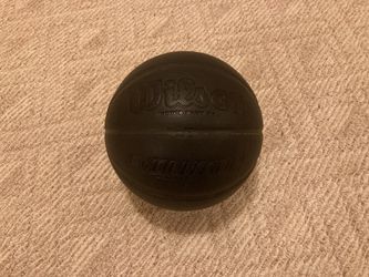 Wilson Evolution Basketball