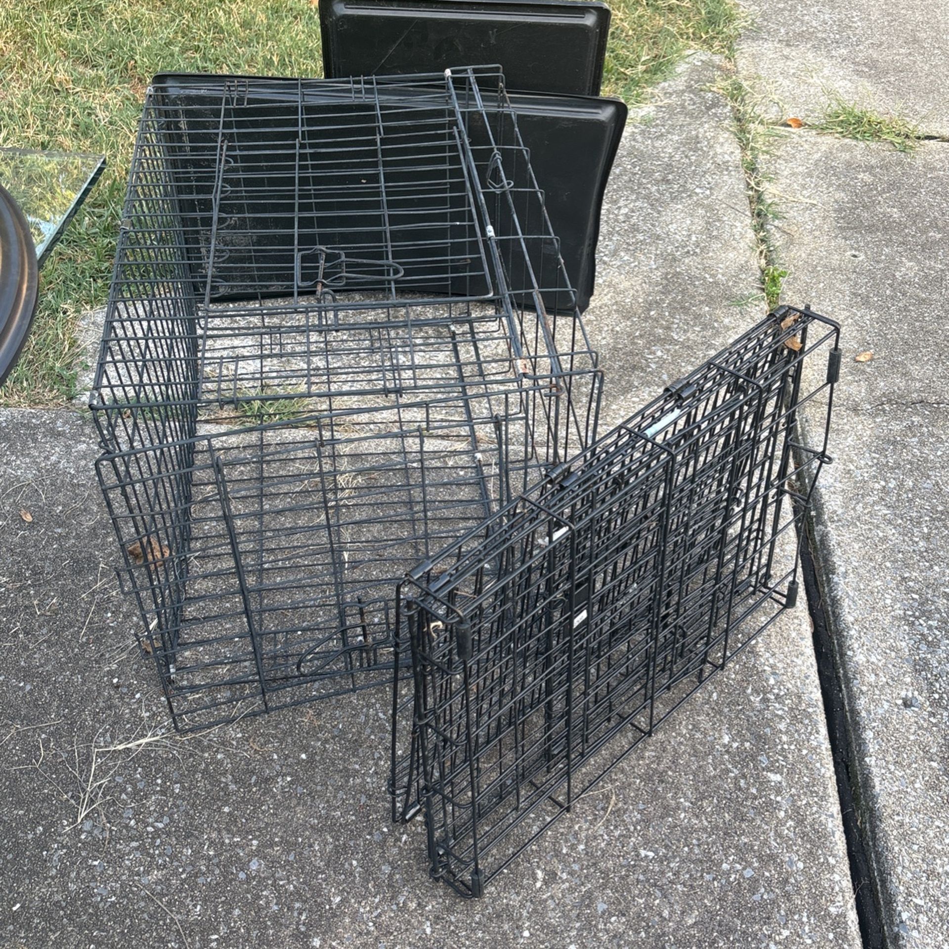 Animal Crates