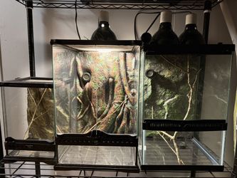 Glass Reptile & Small Animals Enclosures