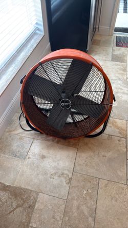 Fan