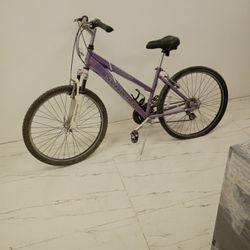 Schwinn Hybrid 