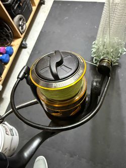 Penn 6000 w rod