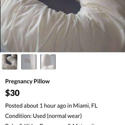 Pregnancy Pillow