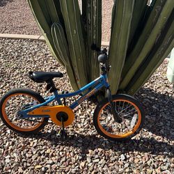 Kid Bike