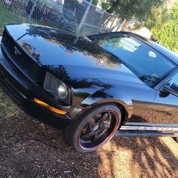 A LA VENTA 2007