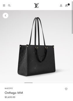 LV Bag