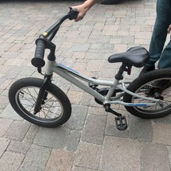 Giant Animator Kids Bike