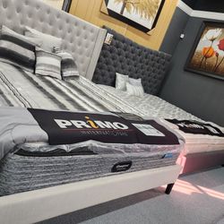 King Bed Fames From $499 & up Or $0 Down If You Finance 