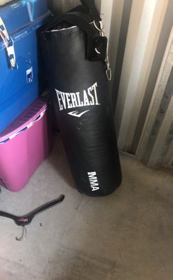 Everlast punching Bag