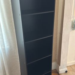Black Cabinet Shelves 