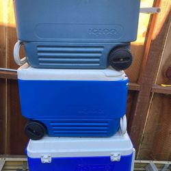 Coolers 