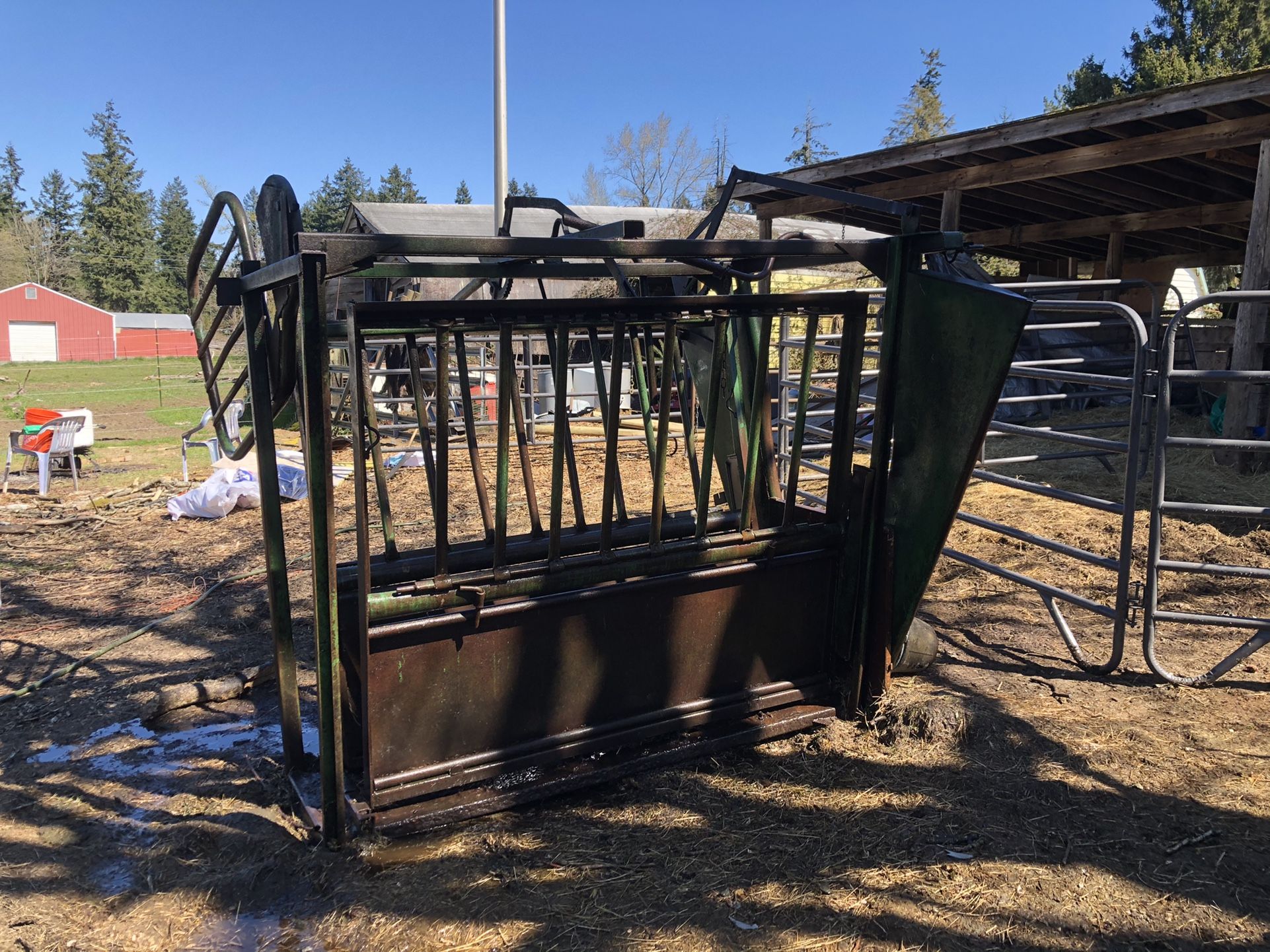 Cattle Chute