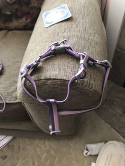 Harness & Leash, Plus small Food/water Bowl
