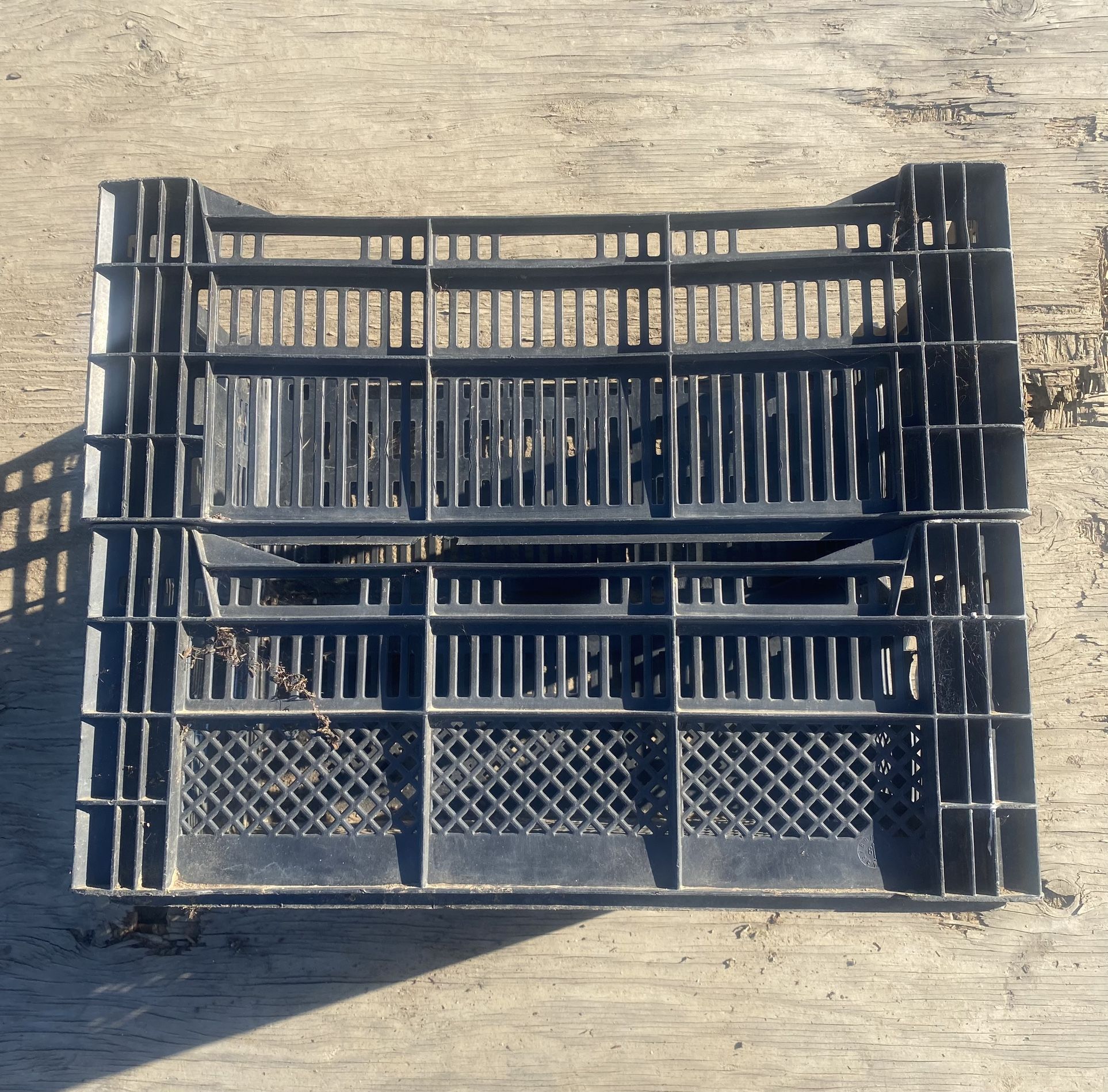 Vegetable/bulb Crates