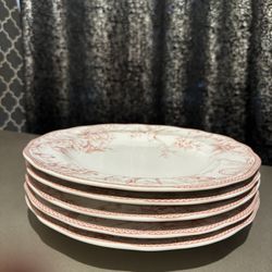Dishwasher And Microwave Safe Plates
