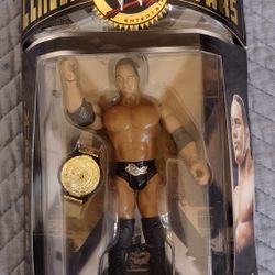 WWE Action Figure The Rock Classic Superstars 