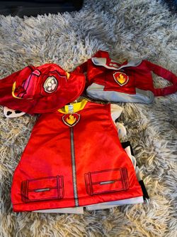 Paw patrol