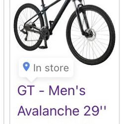 Gt men's avalanche 29 sale