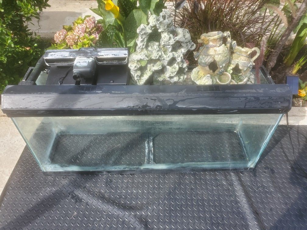 55 Gallon Fish Tank
