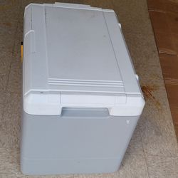 Electric cooler